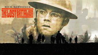 失落的战场在线观看,在线揭秘历史遗迹的神秘面纱  第3张